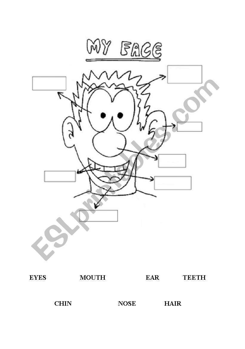 FACE worksheet