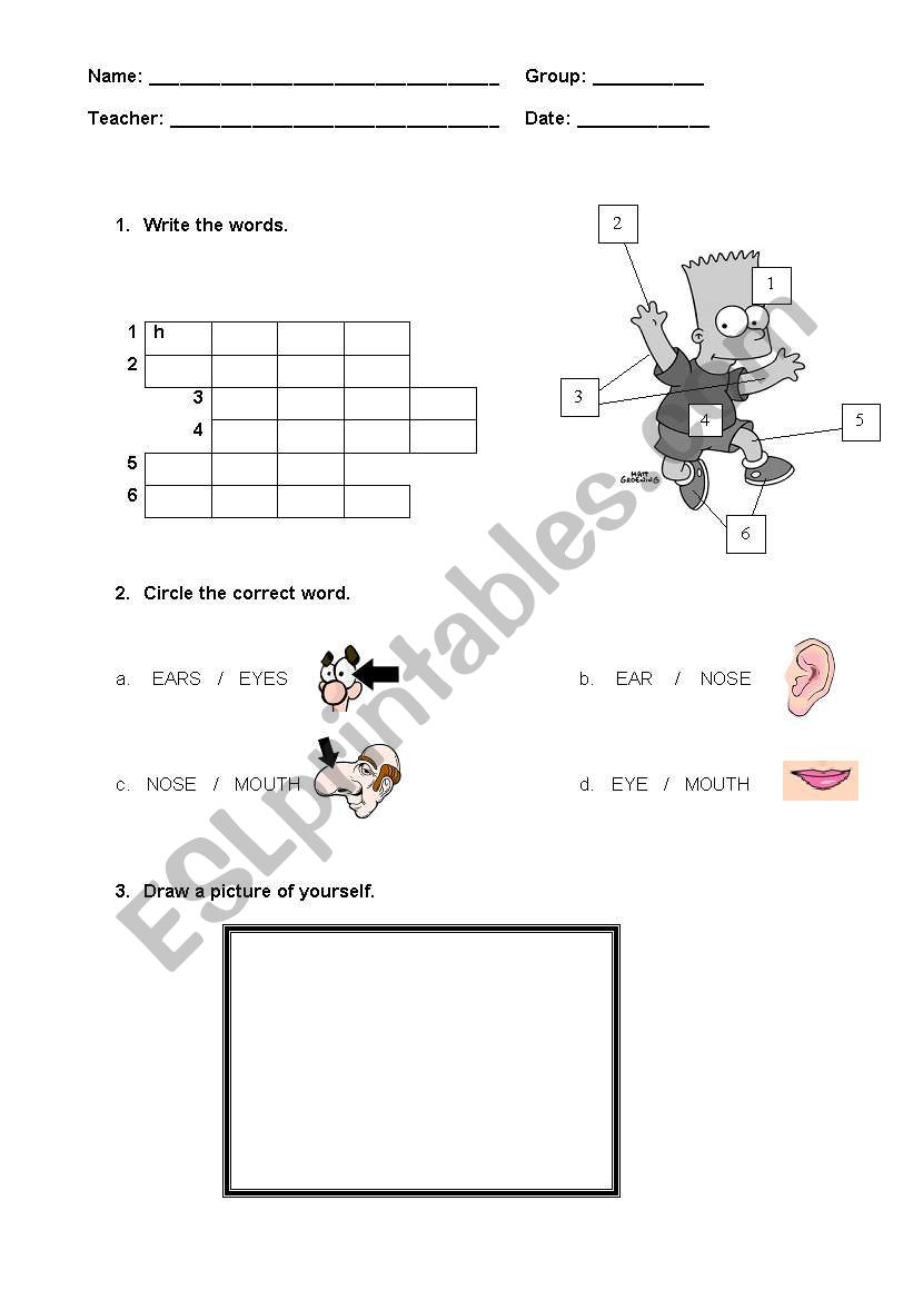 Body parts worksheet