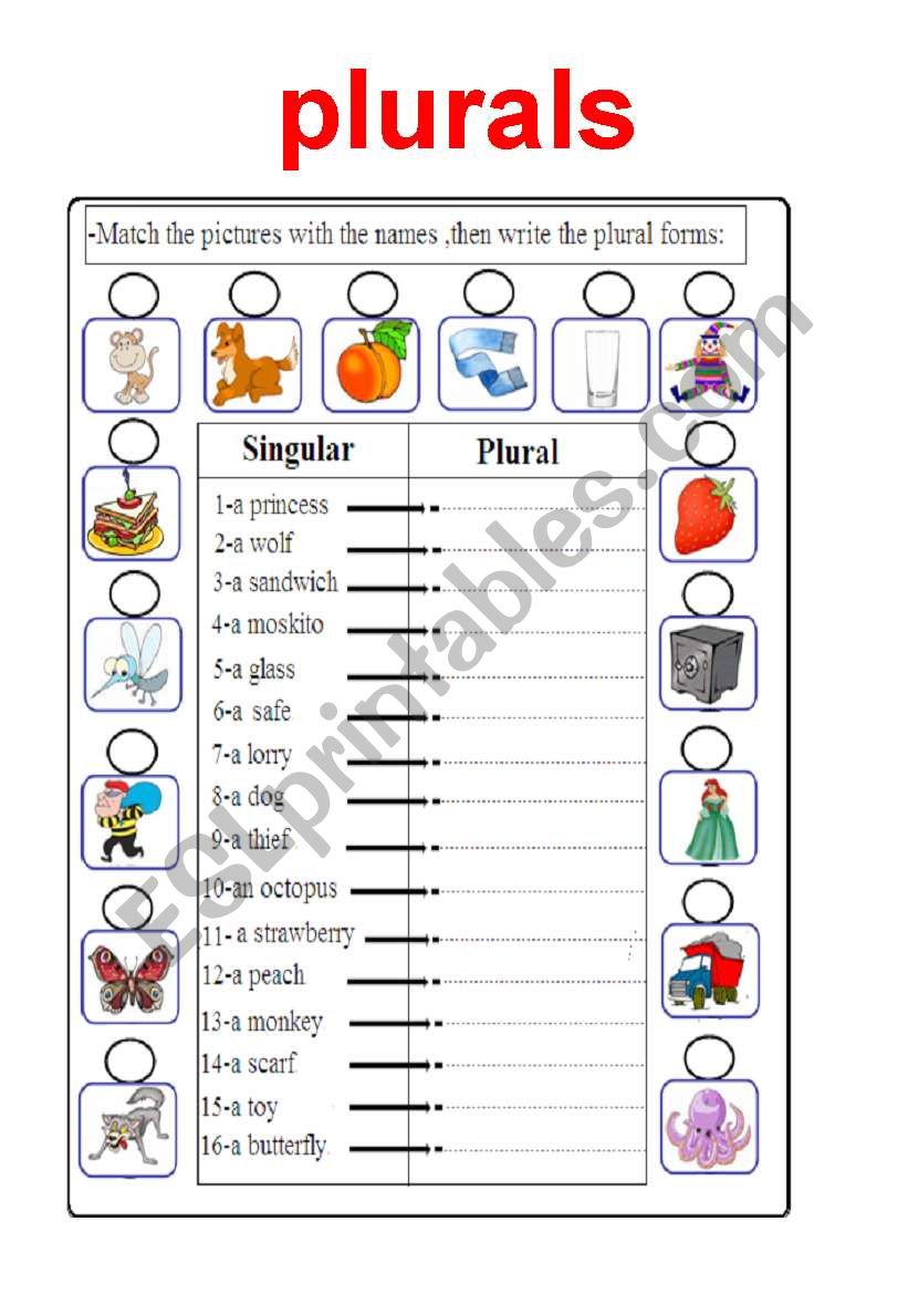 plurals worksheet