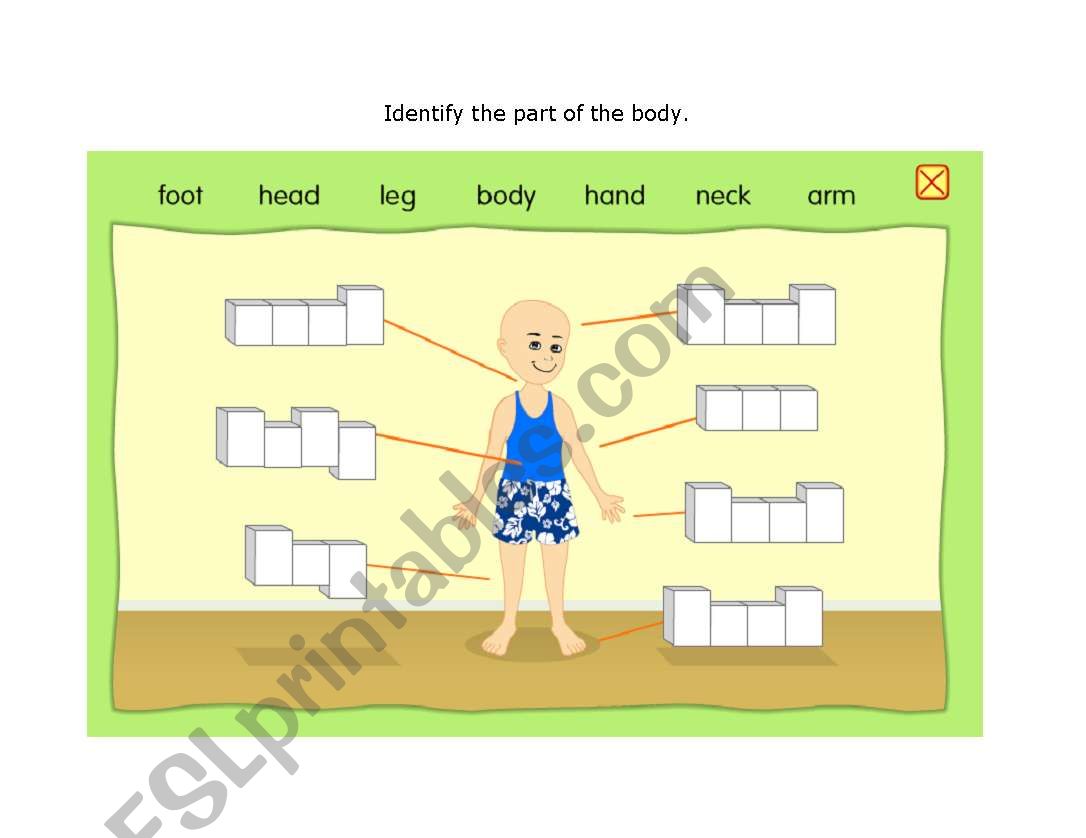 BODY PARTS worksheet