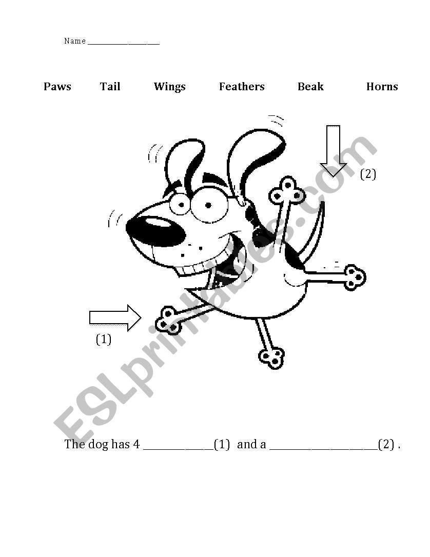 Animal Body Parts worksheet