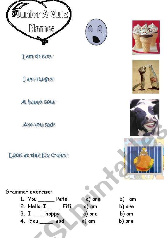  quiz emotions voc / iam you are  grammar