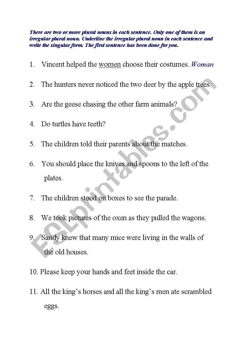 irregular plural nouns exercise