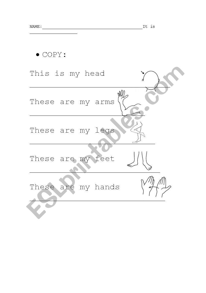 COPY BODY PARTS worksheet