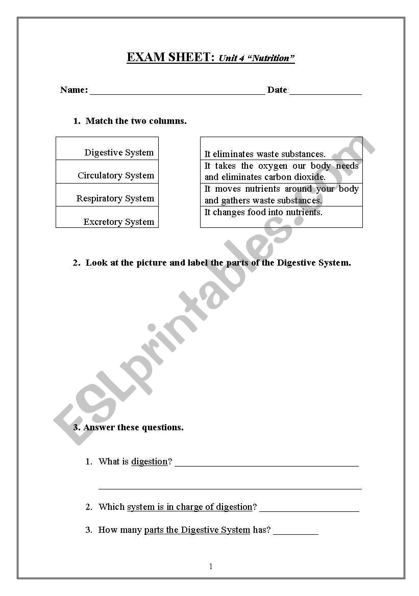 nutrition primary 4 worksheet
