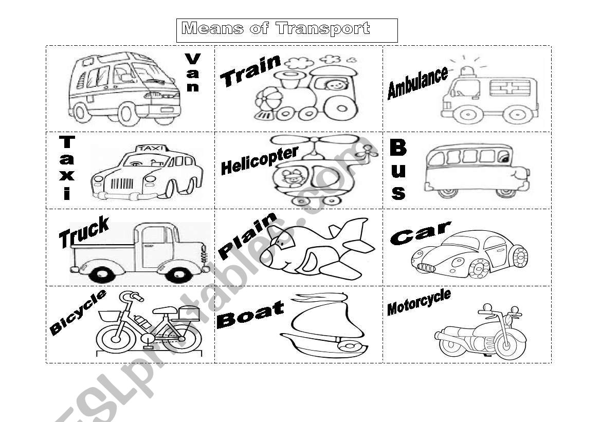 MEANS OF TRANPORTATION  worksheet