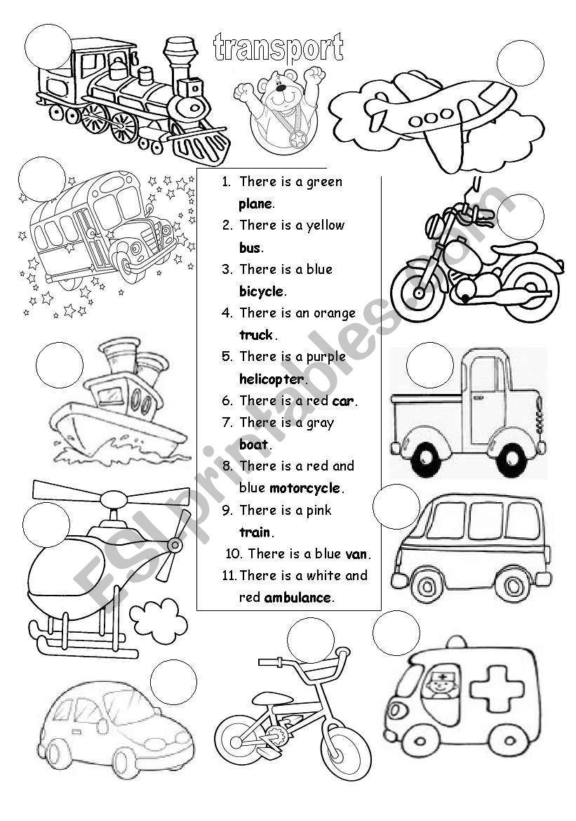 TRANSPORT worksheet