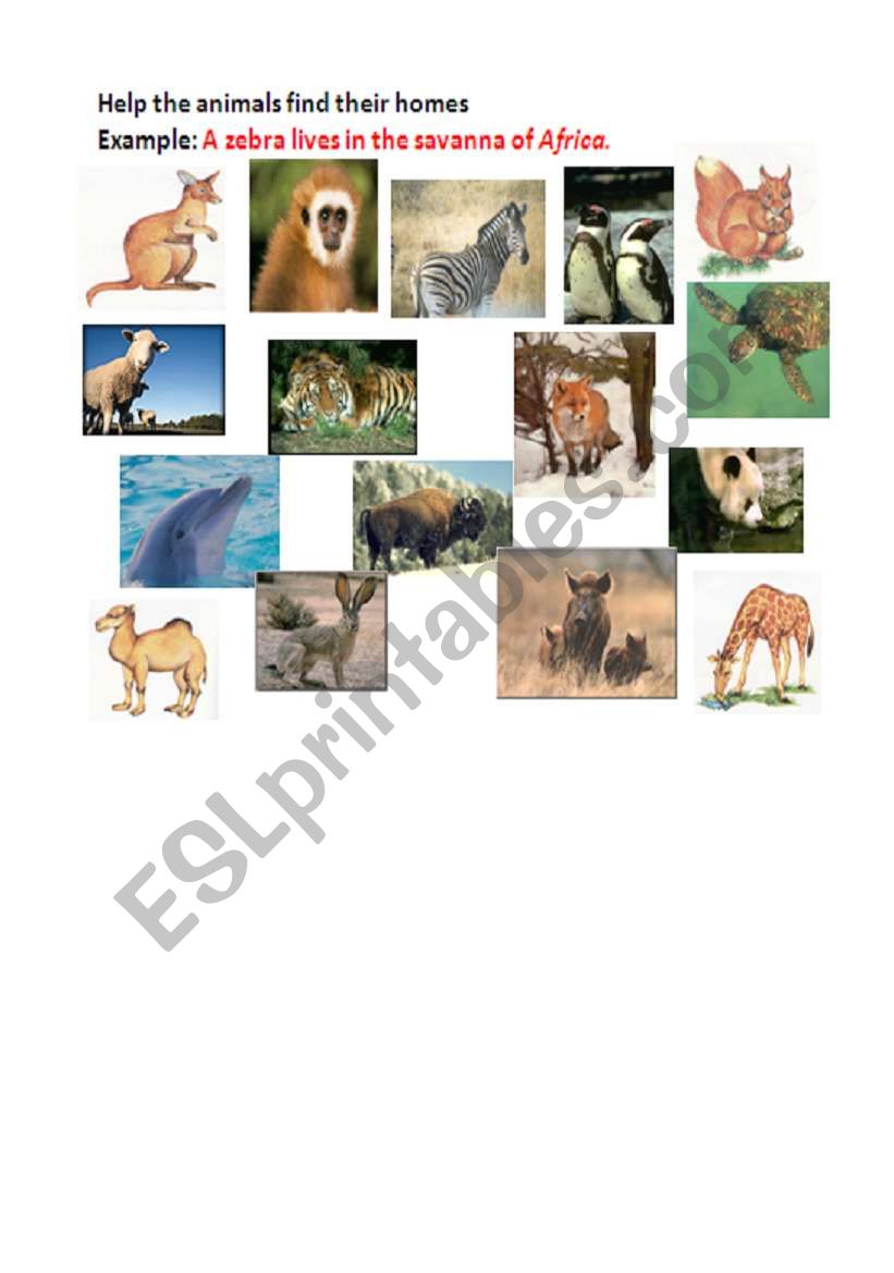 help animals worksheet