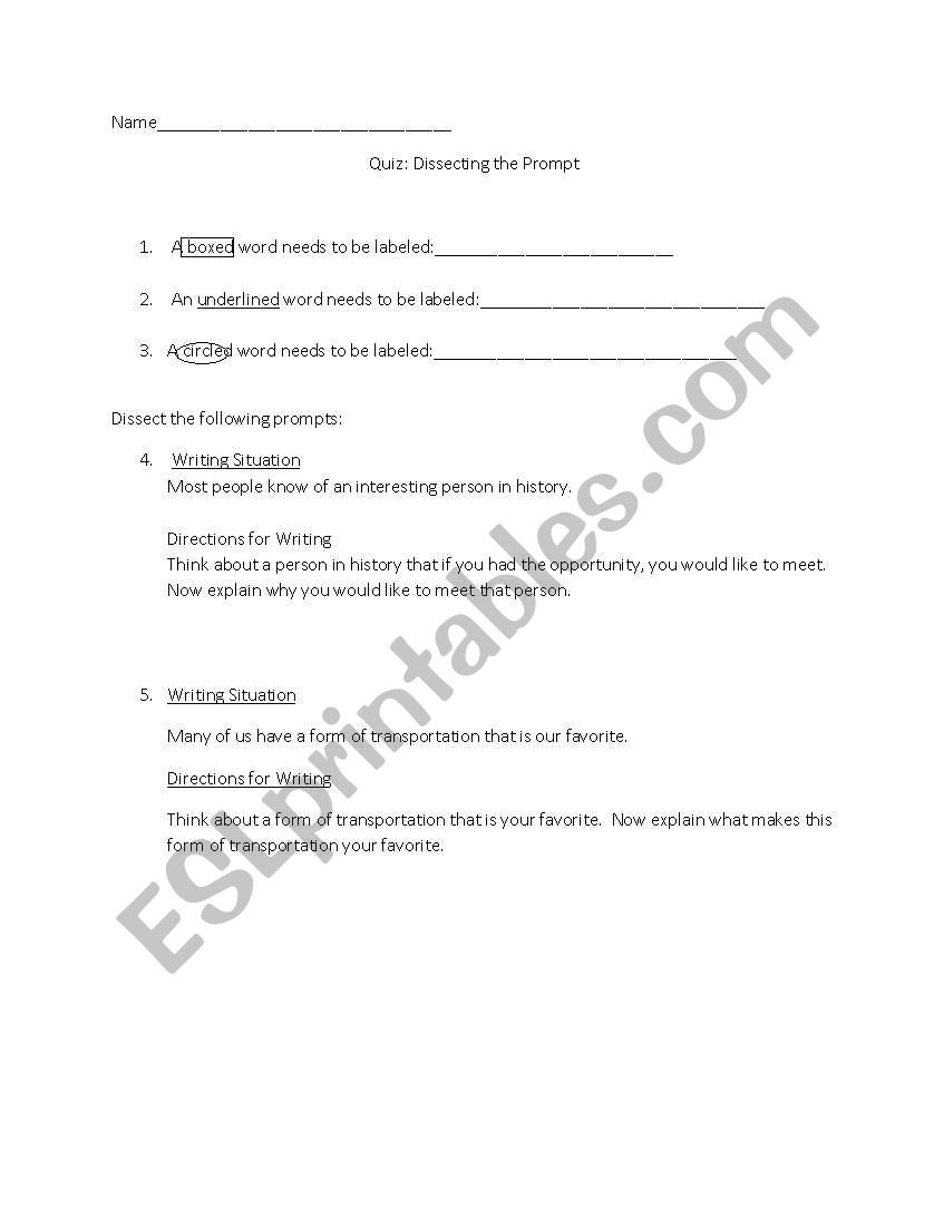 Dissect Writing Prompt worksheet
