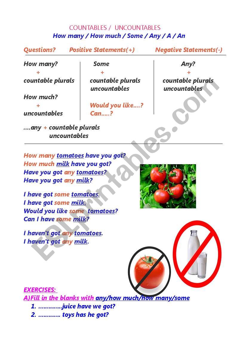 some/any/how much/how many   worksheet