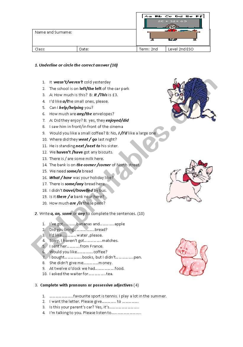 elementary test worksheet