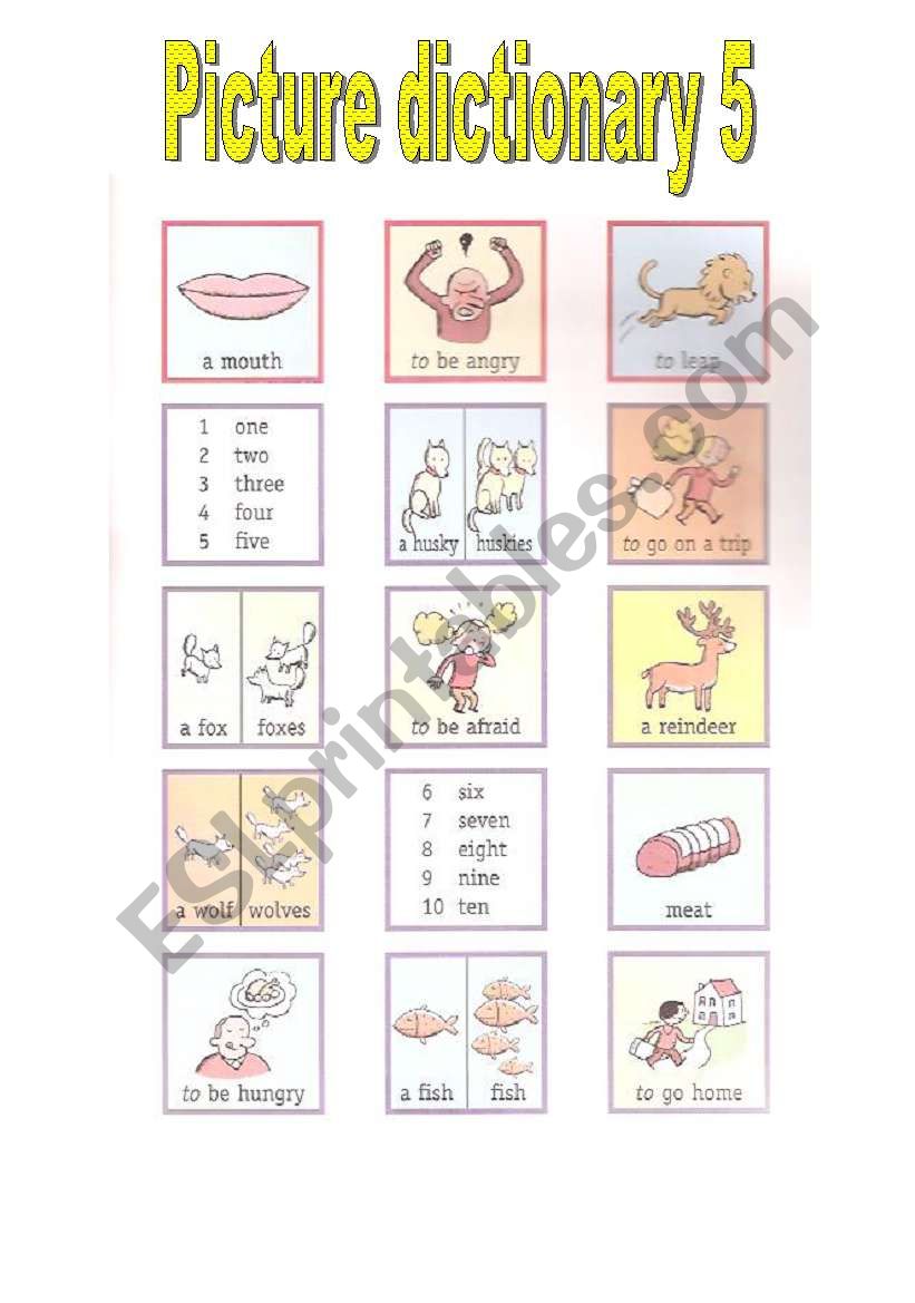PICTURE DICTIONARY 5 worksheet