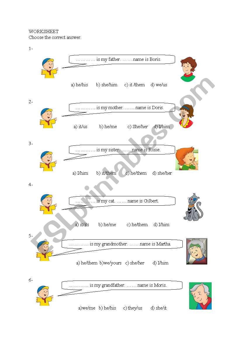 possessive pronouns activity worksheet