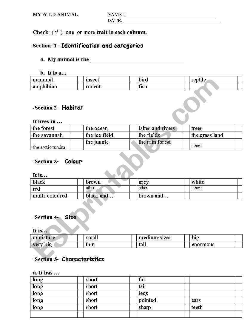 My Wild animal worksheet