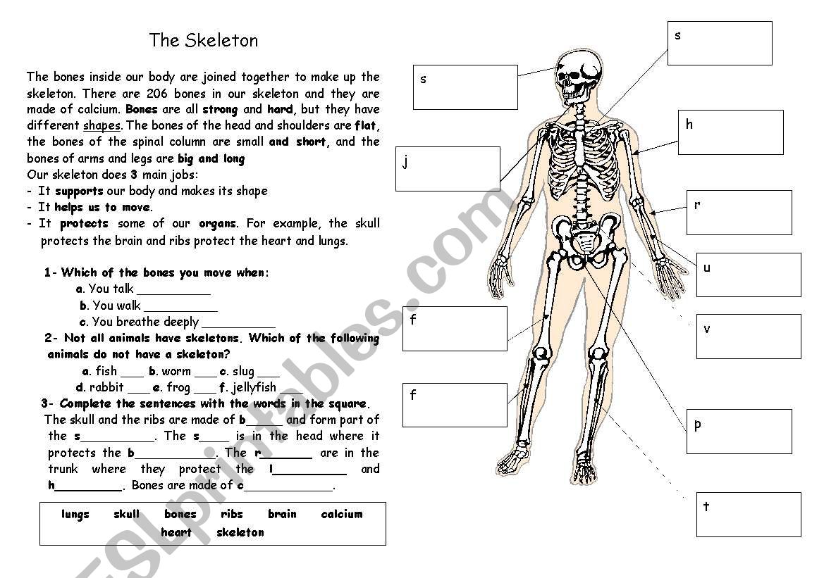 Complete the skeleton worksheet