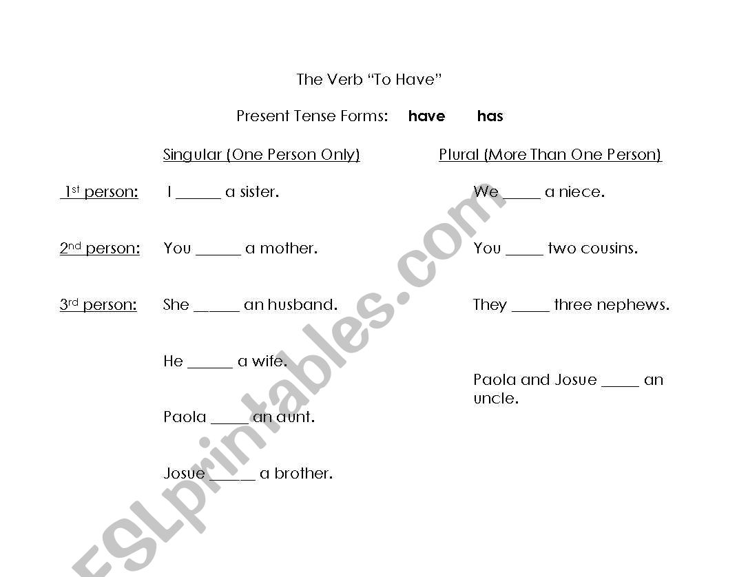 The Verb To Have worksheet