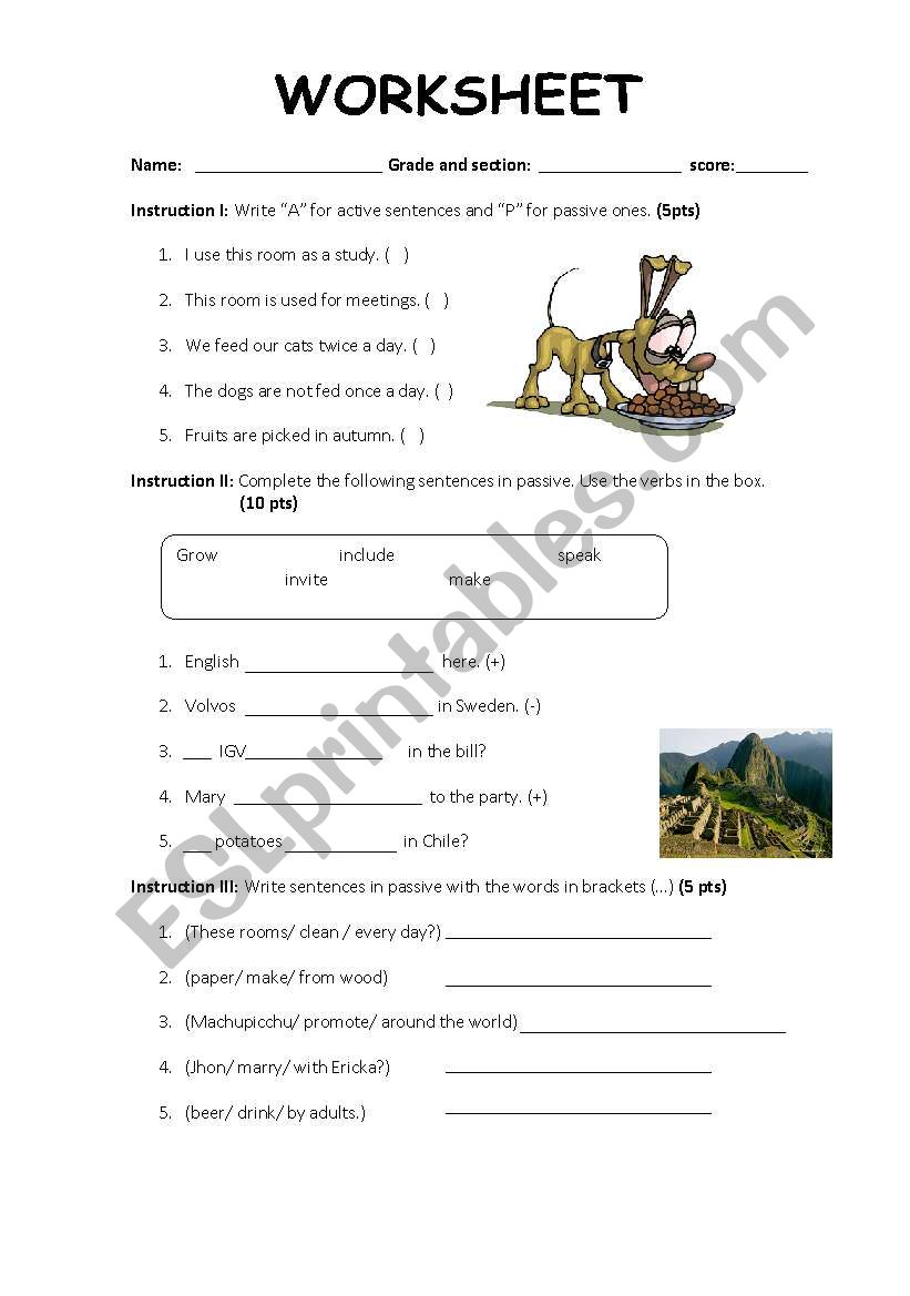 passive voice present worksheet