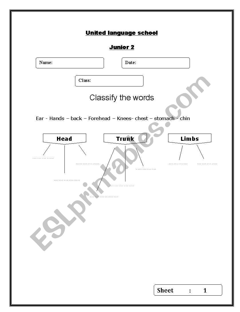 Body parts worksheet