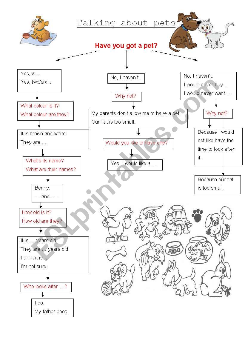 Pets worksheet