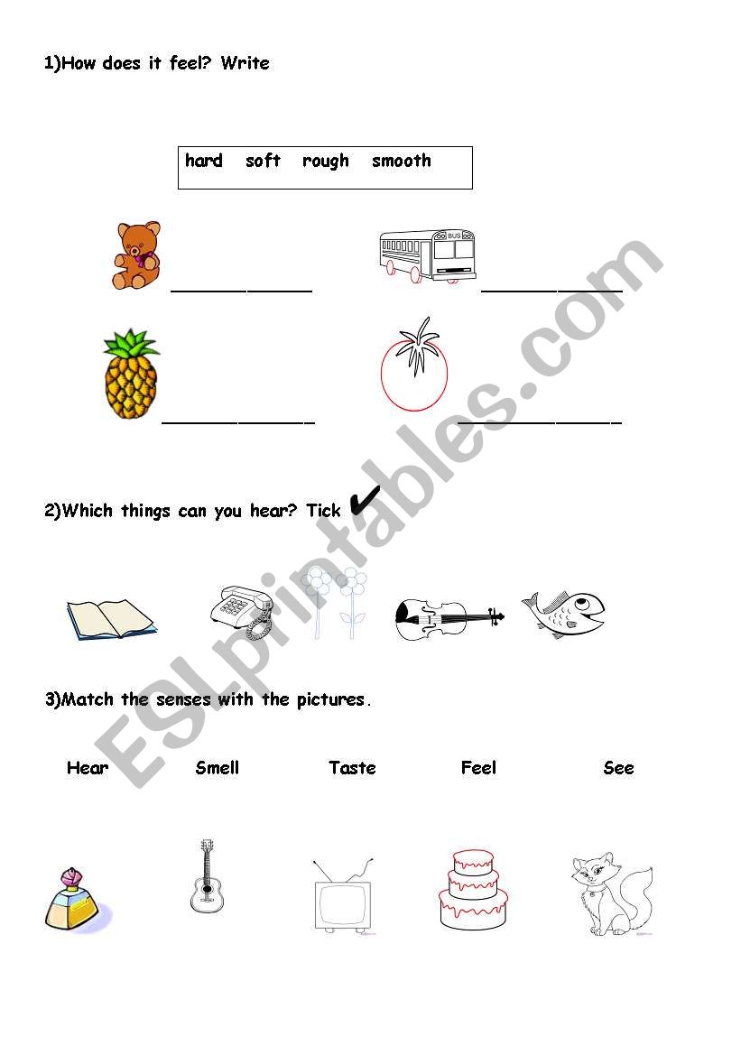 Senses worksheet