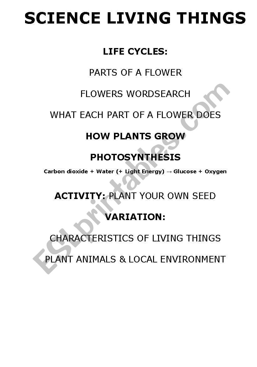 Plants worksheet