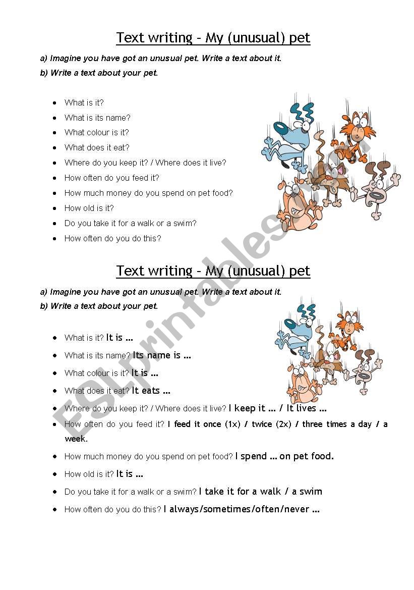 Pets  worksheet