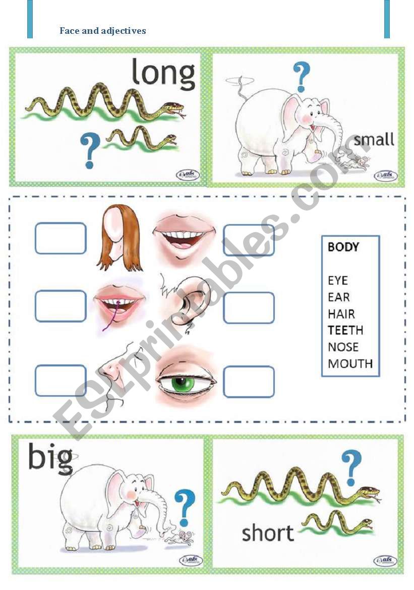 Face and adjectives worksheet
