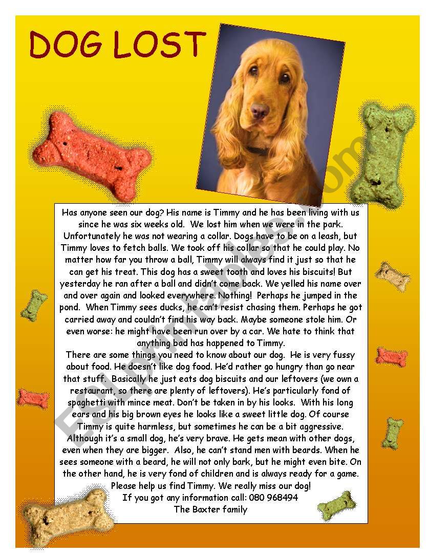 DOG LOST! worksheet