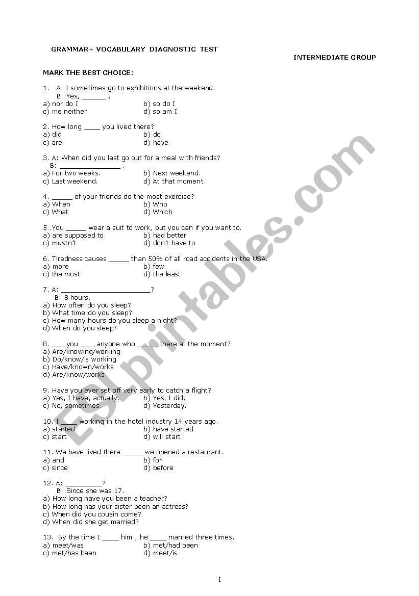 LANGUAGE LEVEL TEST  worksheet
