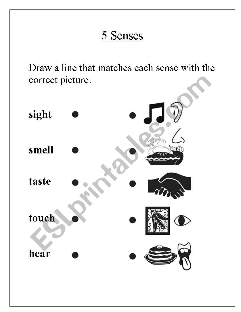 5 senses worksheet