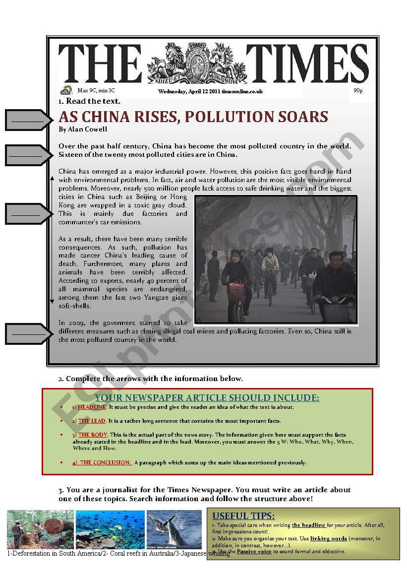 Pollution and Environment worksheet