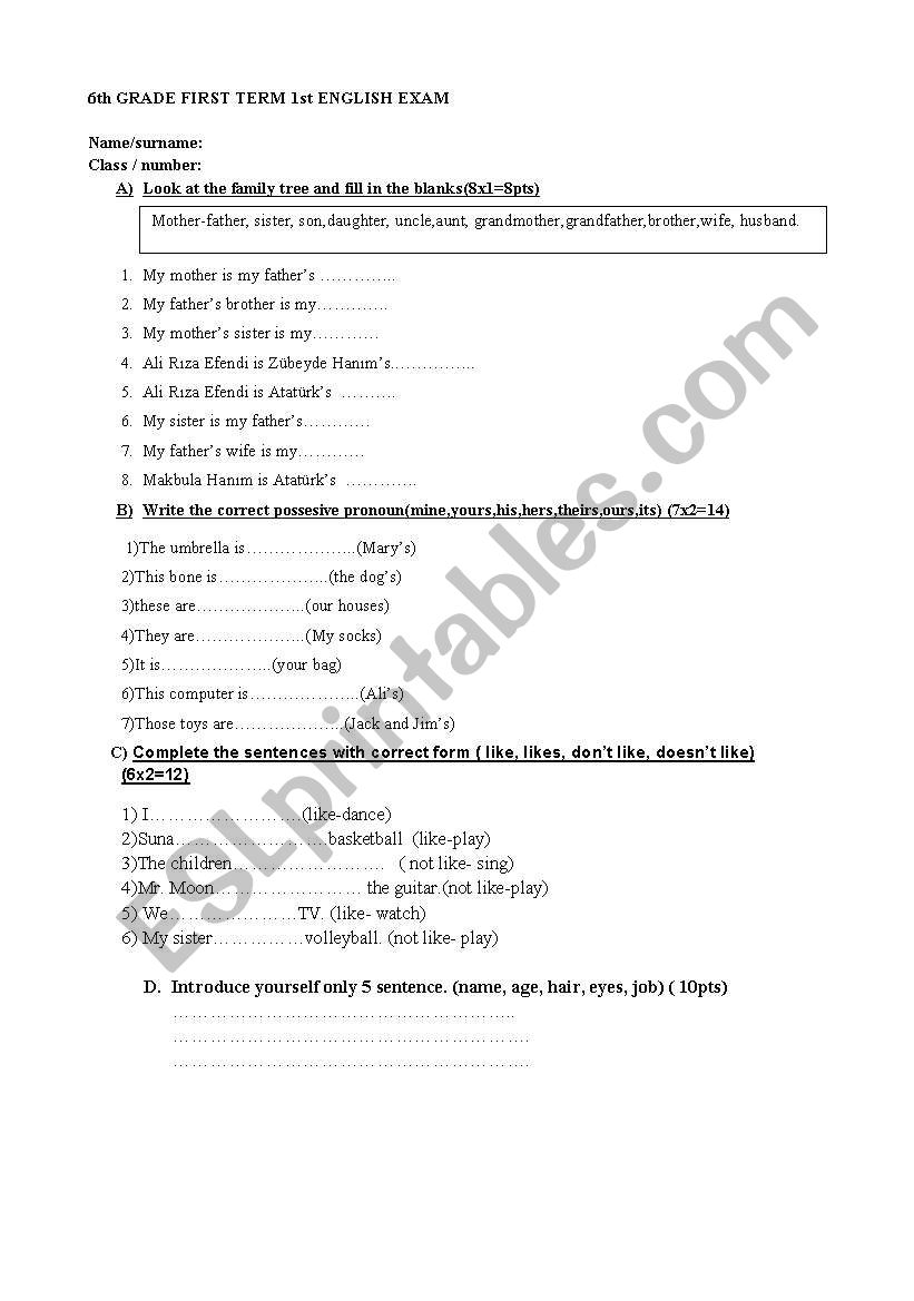 revision test for 6th grade worksheet