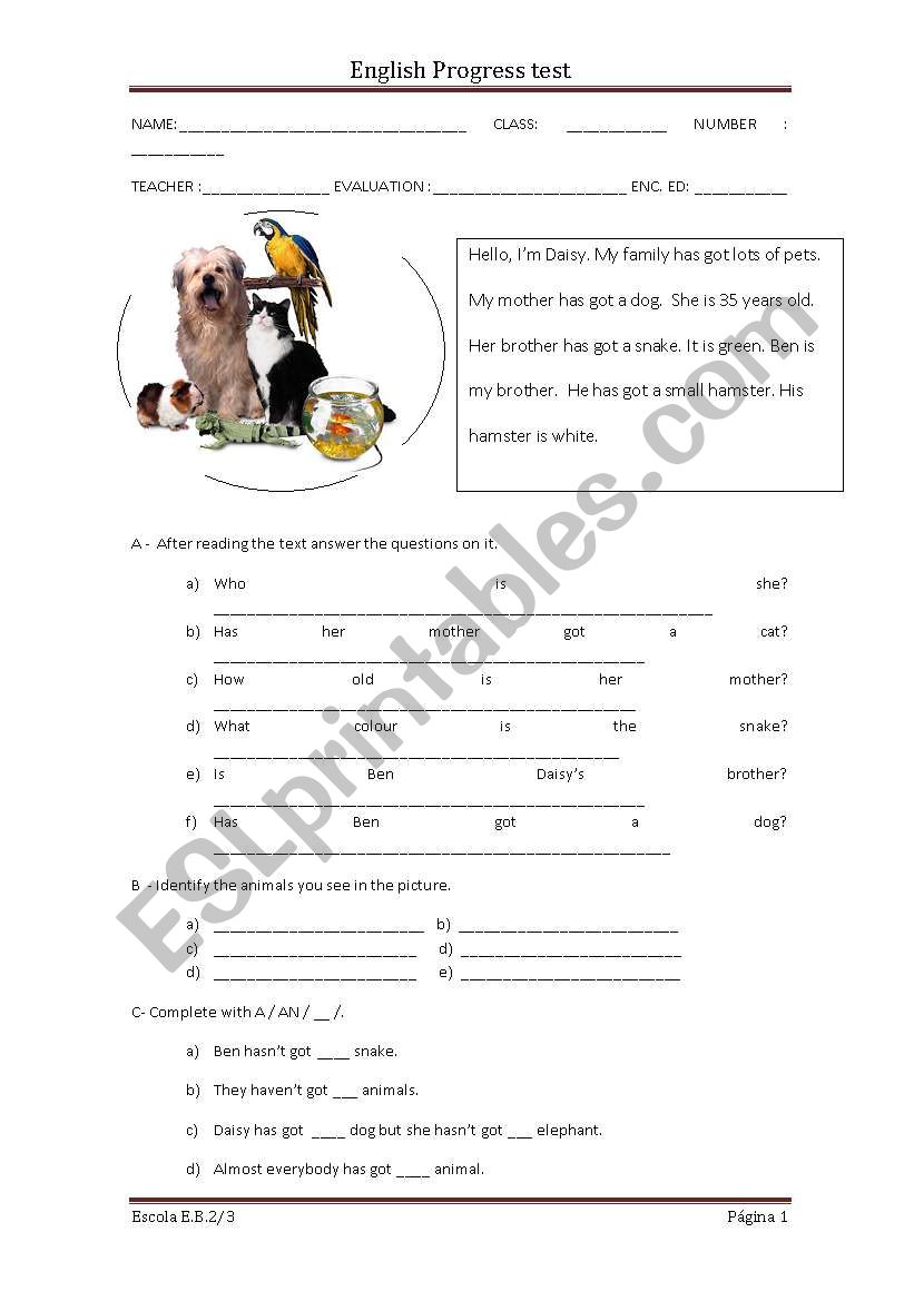 english test worksheet