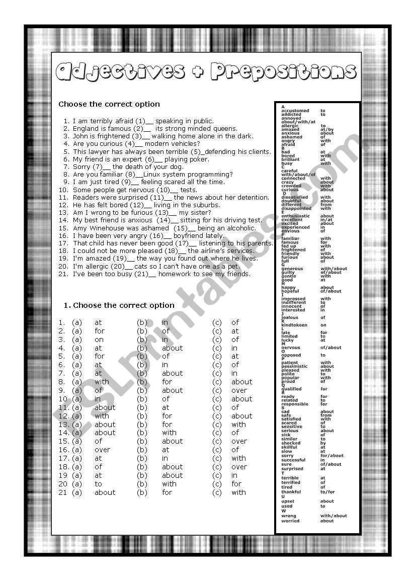 Adjectives Plus Prepositions worksheet