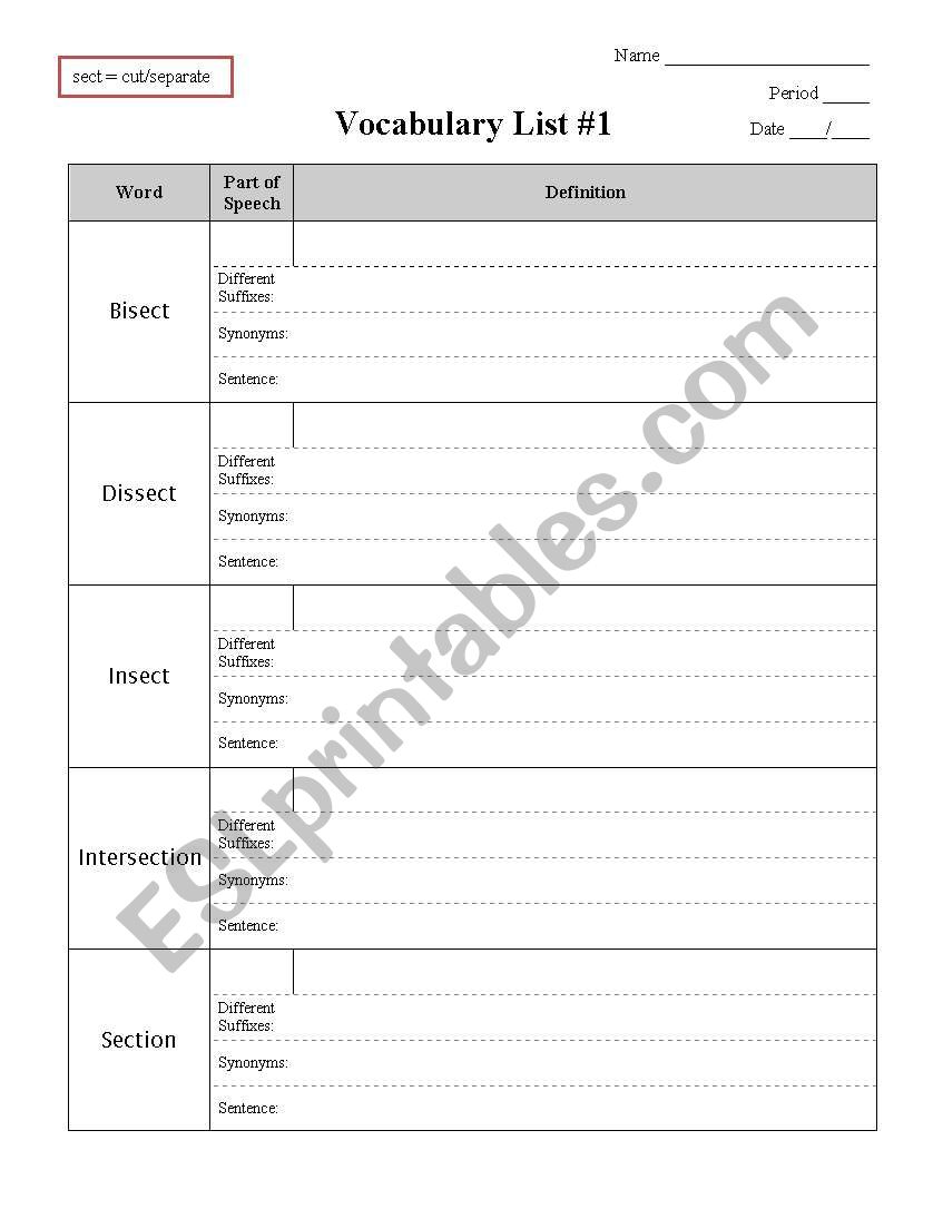 Vocabulary root words -sect- worksheet