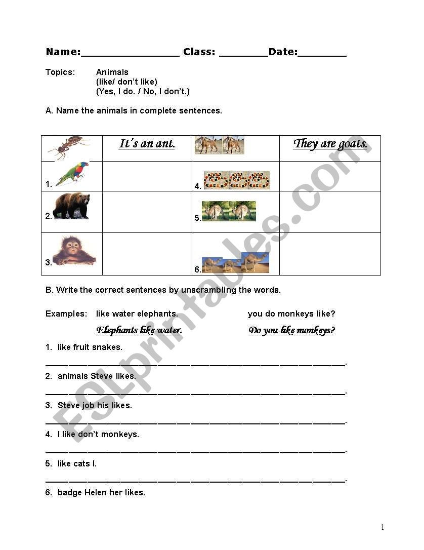 animals (like/ dislike) worksheet