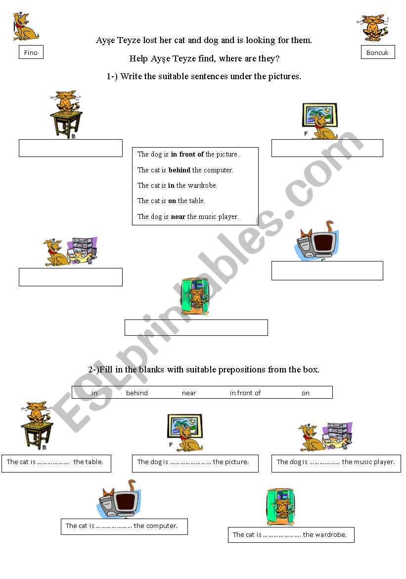 differentiated activity worksheet