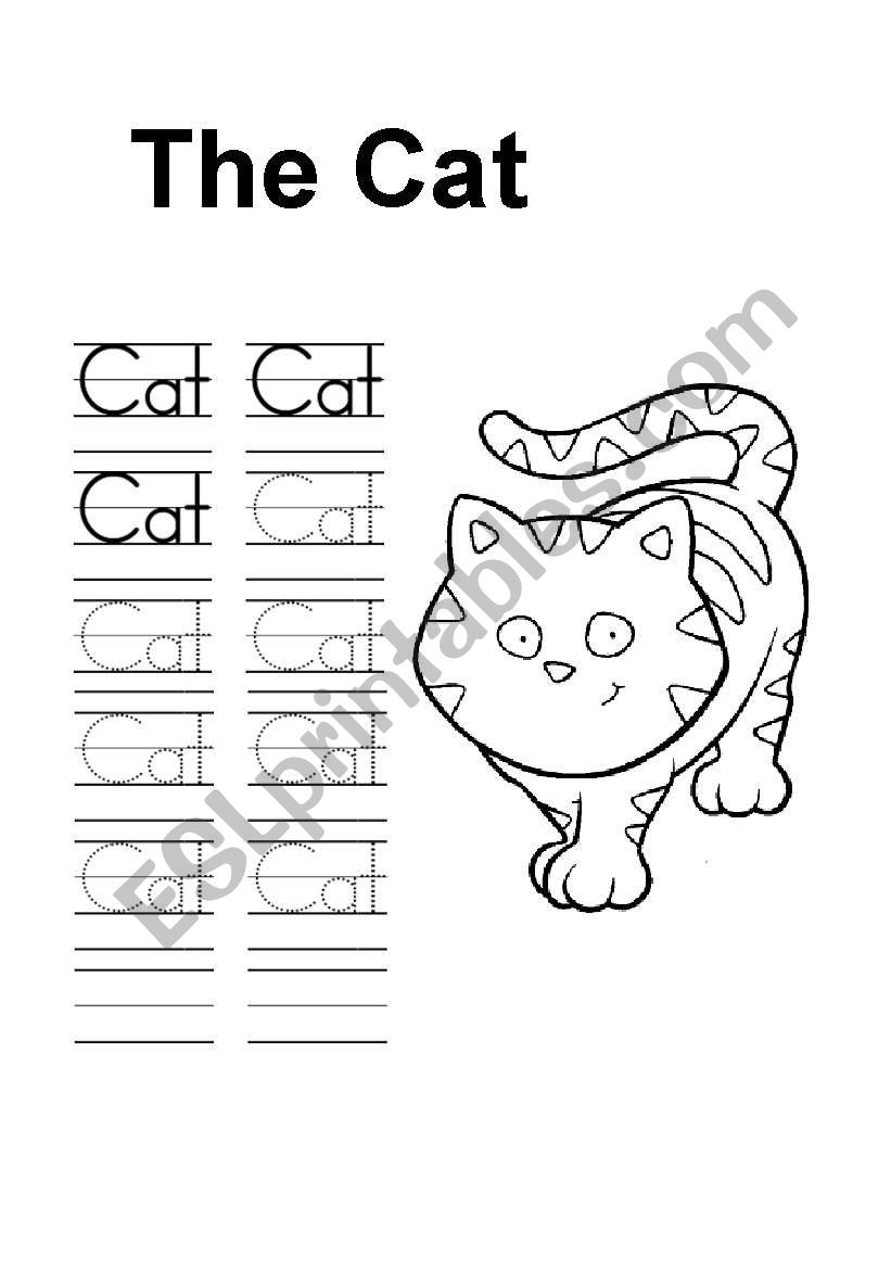 The cat worksheet