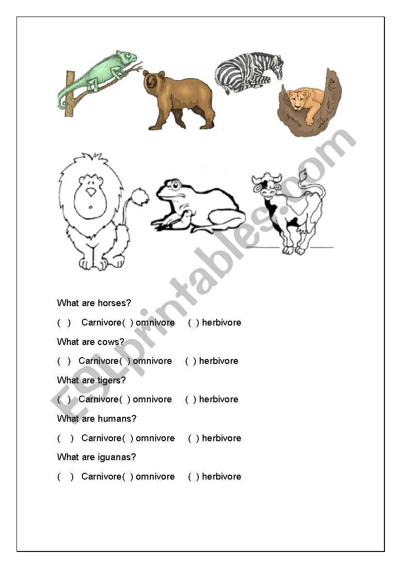 Animal feeding worksheet