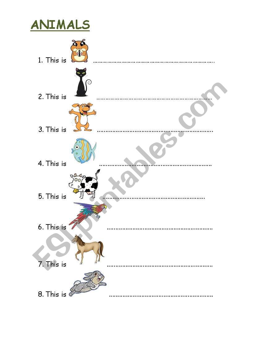 animals worksheet