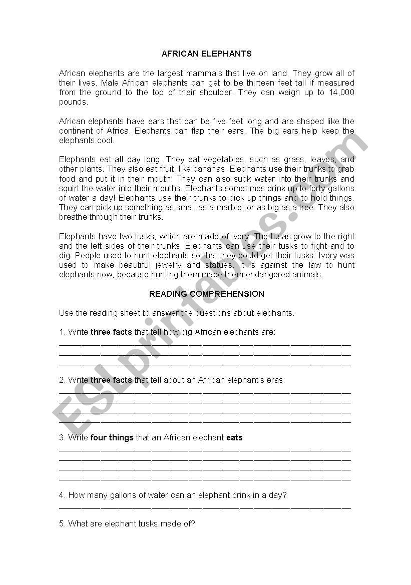 AFRICAN ELEPHANT worksheet