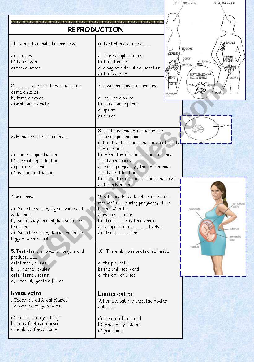 reproduction worksheet