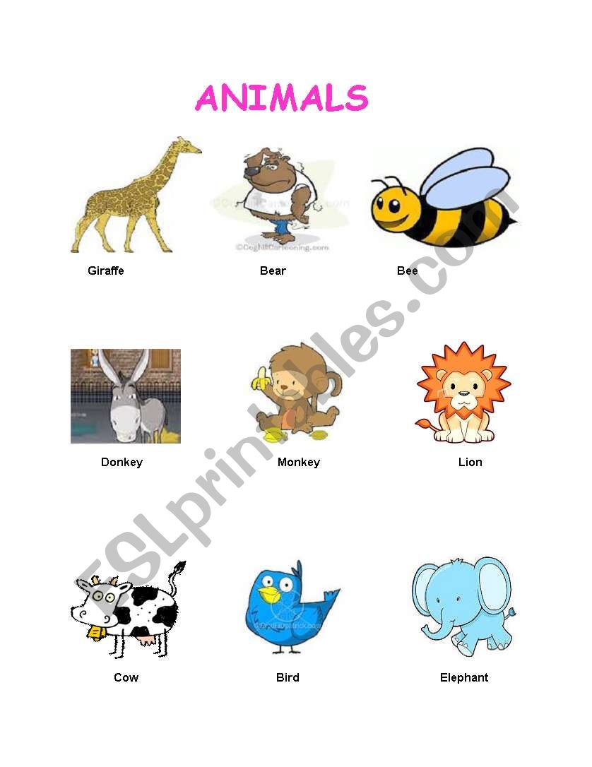 Animals worksheet