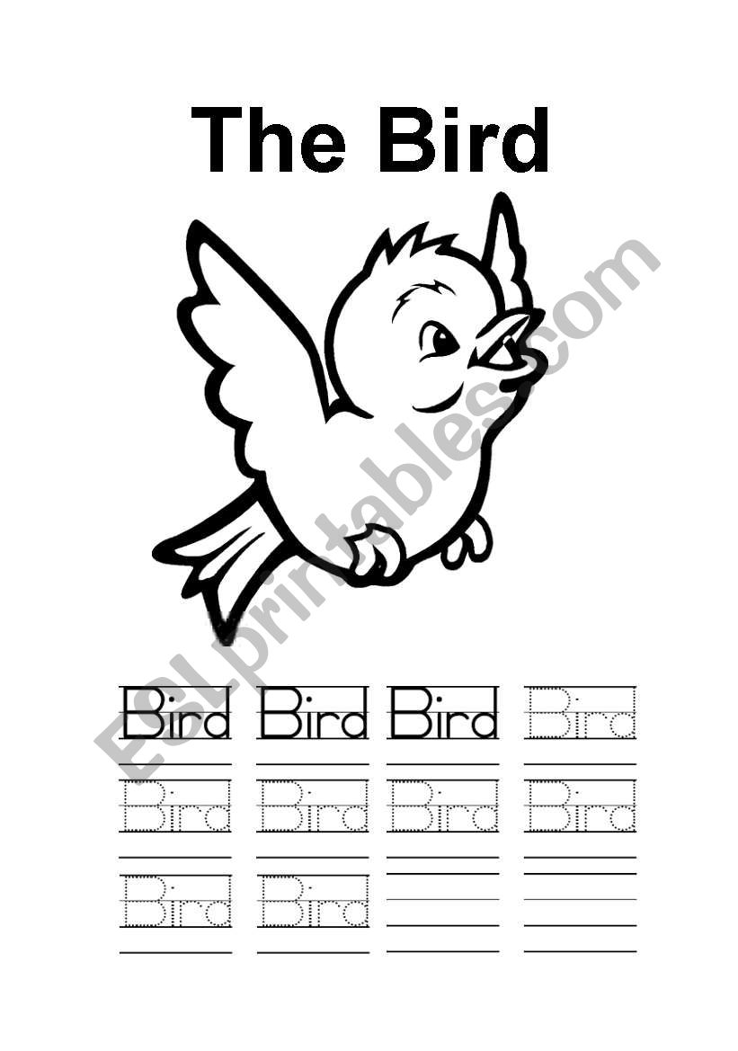 The bird worksheet