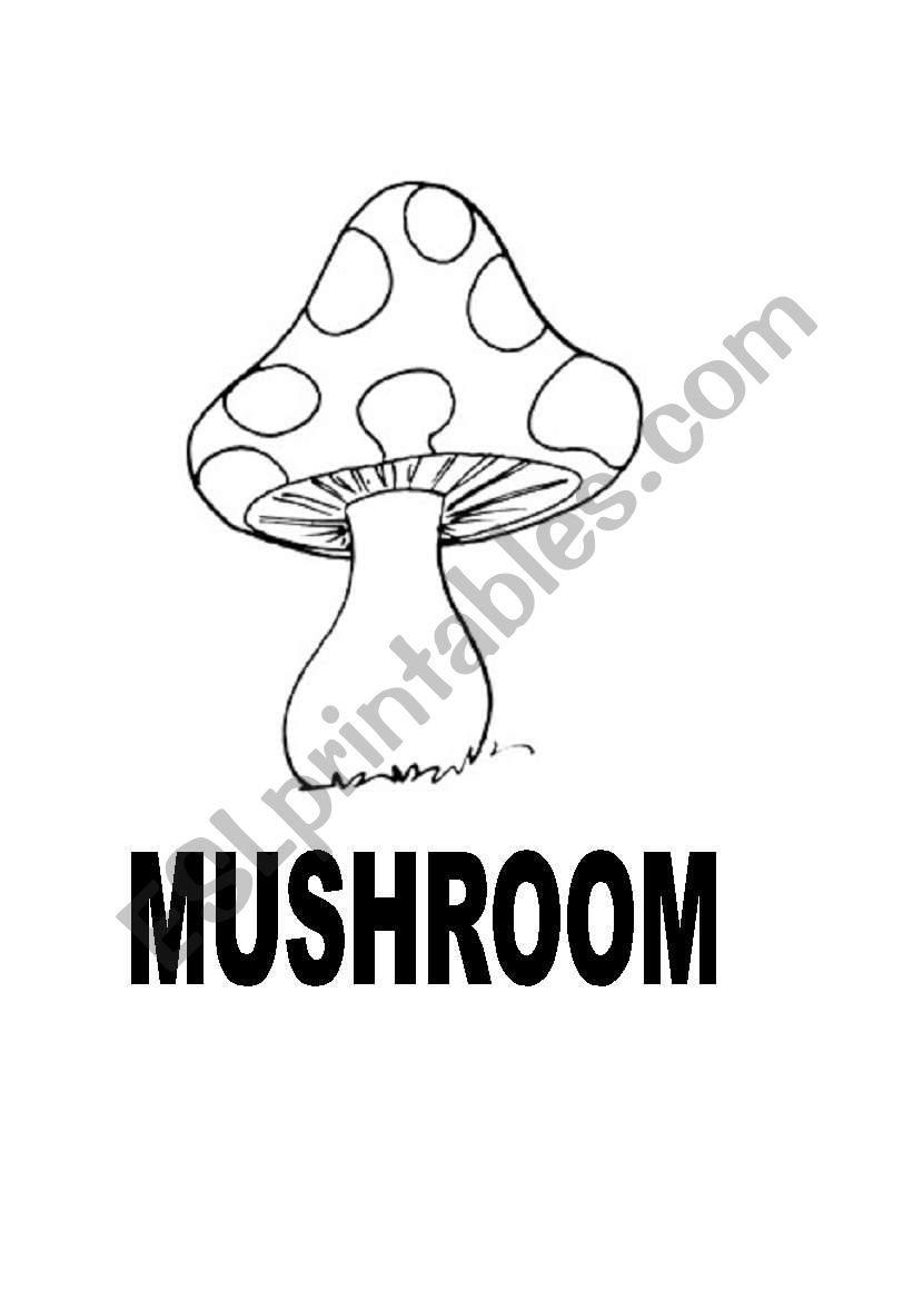 Garden  worksheet