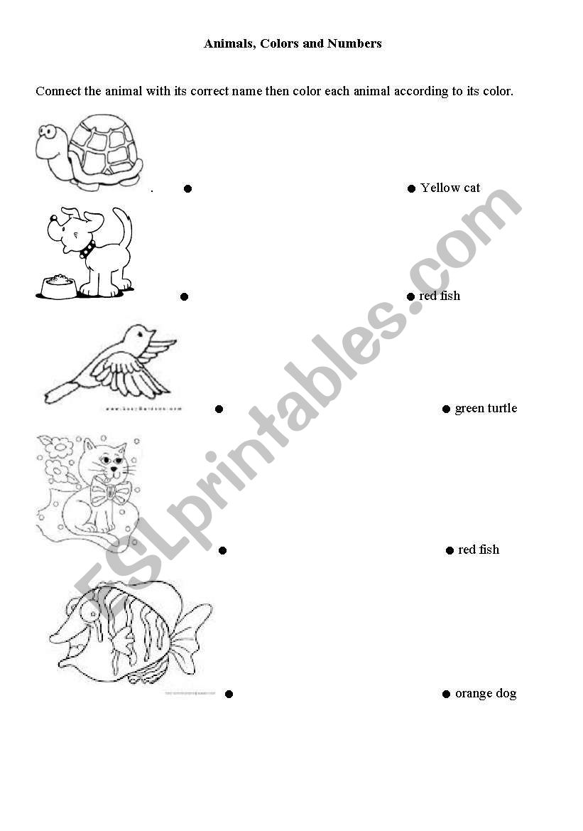 Animals and colors worksheet