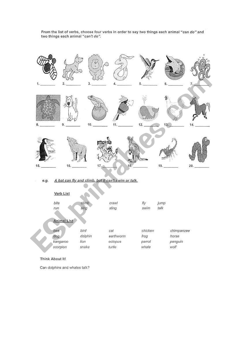 animals + can verb worksheet