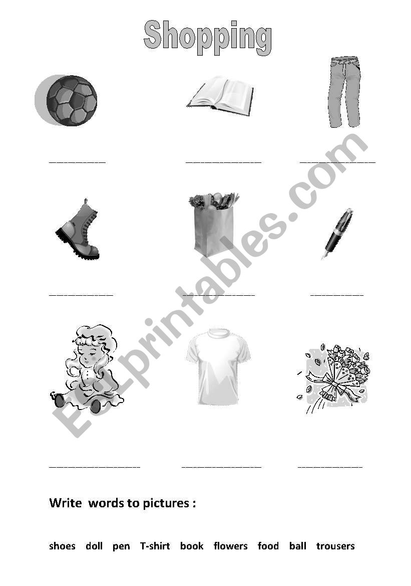 shopping worksheet