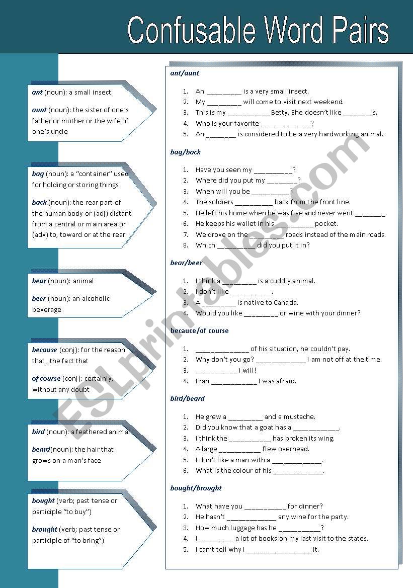 Confusable Word Pairs 3 worksheet