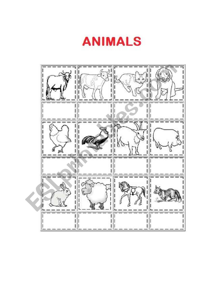 ANIMALS worksheet